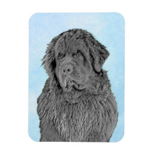 Ímã Pintura em Newfoundland - Arte Cão Original Bonit