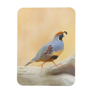 Ímã Pintura em Quail de Gambrel — Arte original sobr