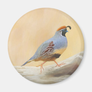 Imã Pintura em Quail de Gambrel — Arte original sobr