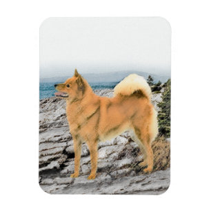 Ímã Pintura em Seashore - Arte Canina
