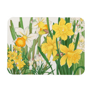 Ímã Pintura em Xilogravura de Narciso, Tanigami Kônan,
