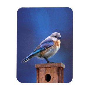 Ímã Pintura (fêmea) do Bluebird - arte original do