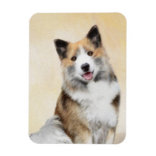 Ímã Pintura Islandesa Do Cão - Arte Original Do Cão