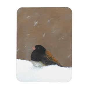 Ímã Pintura Junco De Olhos Escuros - Arte De Pássaro
