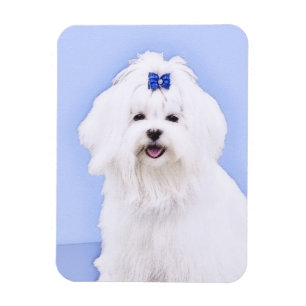 Ímã Pintura Maltesa - Arte Cachorra Original