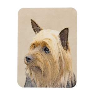 Ímã Pintura Silky Terrier - Arte Cachorro Original Cac