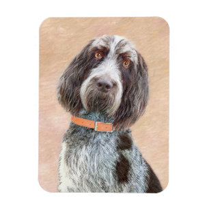 Ímã Pintura Spinone Italiano - Arte Cachorro Original