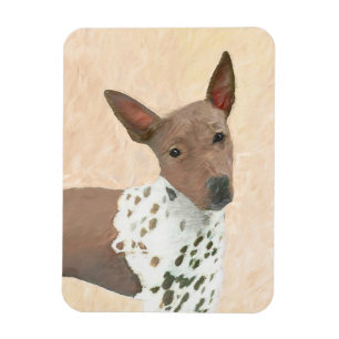 Ímã Pintura Terrier sem cabelos americana - Arte canin
