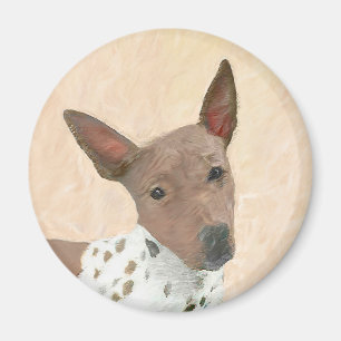 Imã Pintura Terrier sem cabelos americana - Arte canin
