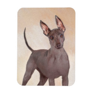 Ímã Pintura Xoloitzcuintli - Arte Cão Original Cute