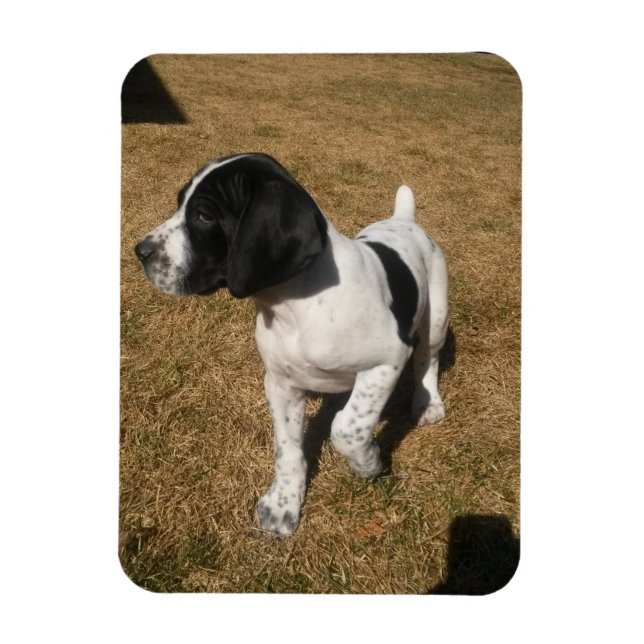 Ímã Piper Pied (Vertical)