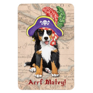 Ímã Pirata de Berner