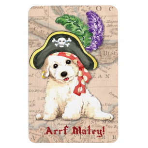 Ímã Pirata de Bichon Frise