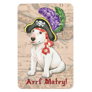 Ímã Pirata de bull terrier