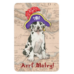 Ímã Pirata de great dane