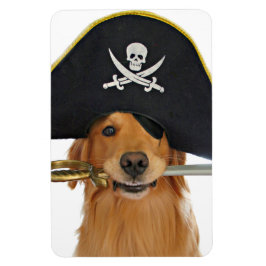 Ímã Pirata de Halloween para ouro Retriever