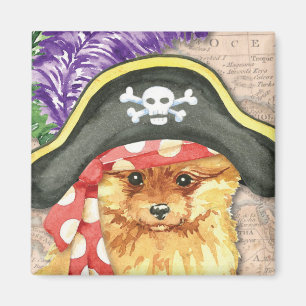 Imã Pirata de Pomeranian