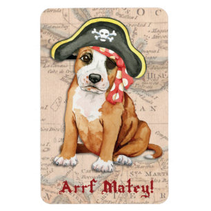 Ímã Pirata de Stafford