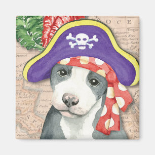 Imã Pirata de Terrier de pitbull