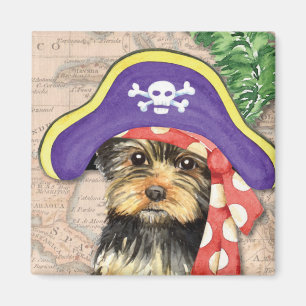 Imã Pirata de Yorkie
