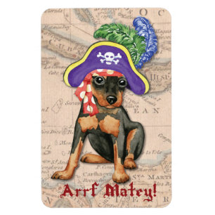 Ímã Pirata do Pinscher diminuto