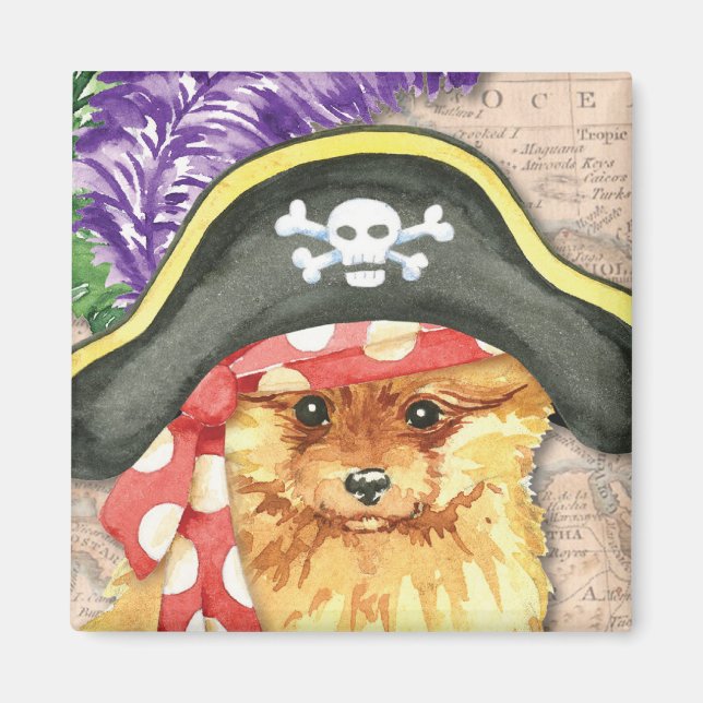 Imã Pirata Pomeraniana (Frente)
