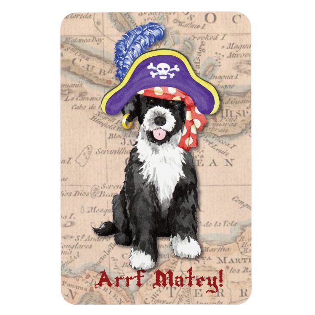 Ímã Pirata PWD (Vertical)