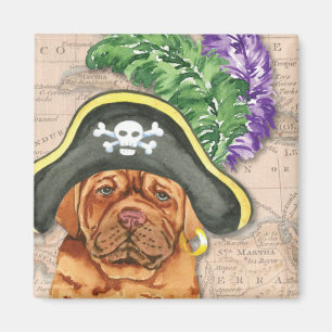 Imã Pirate Dogue de Bordeaux Magnet