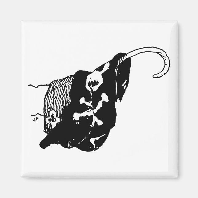 Imã Pirate Hook (Frente)