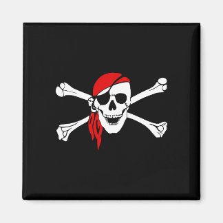 Imã Pirate_Magnet2(S)