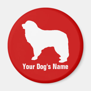 Imã Pirenéus excelentes グ Equipe ト ・ ピ レ Eq