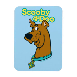 Ímã Pisc de Scooby-Doo