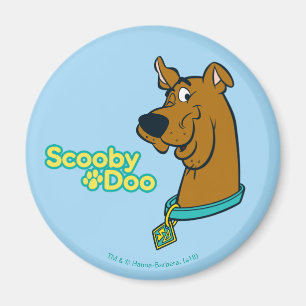 Imã Pisc de Scooby-Doo