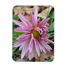 Ímã Piscar os olhos rosa