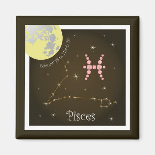 Imã Pisces February 19 to March 20 íman