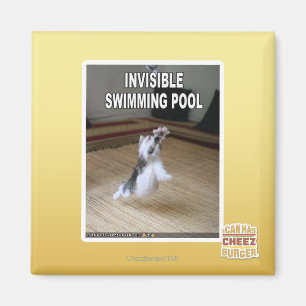Imã Piscina invisível