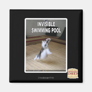 Imã Piscina invisível