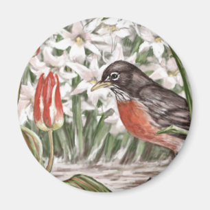 Imã Pisco de peito vermelho e pintura vermelha das