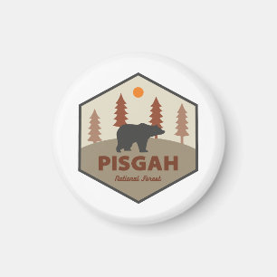 Imã Pisgah National Forest Bear
