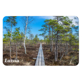 Ímã Pista de madeira sobre íman