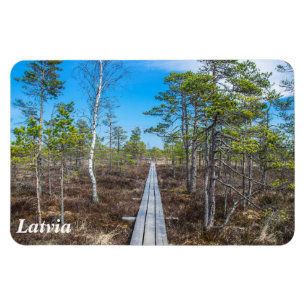 Ímã Pista de madeira sobre íman