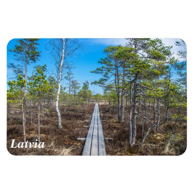 Ímã Pista de madeira sobre íman (Horizontal)