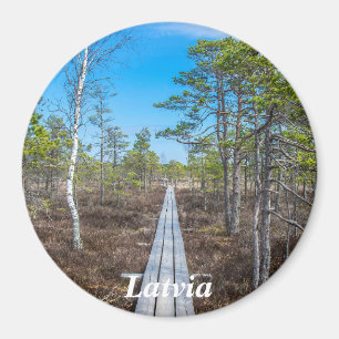 Imã Pista de madeira sobre íman