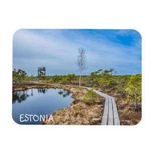 Ímã Pista de madeira sobre o pântano na Estônia