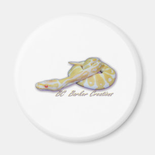 Imã Pitão da bola do Hatchling do albino