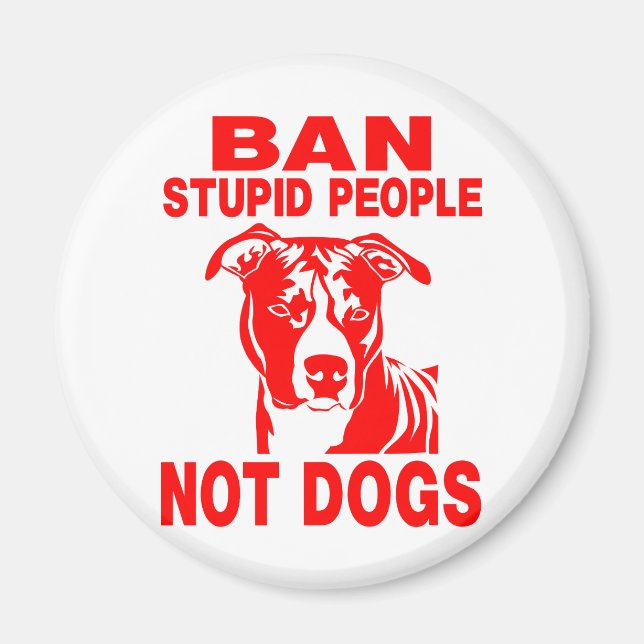 IMÃ PITBULL (Frente)