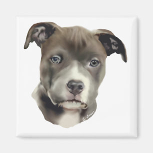 Imã Pitbull azul