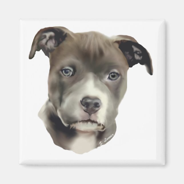 Imã Pitbull Azul (Frente)