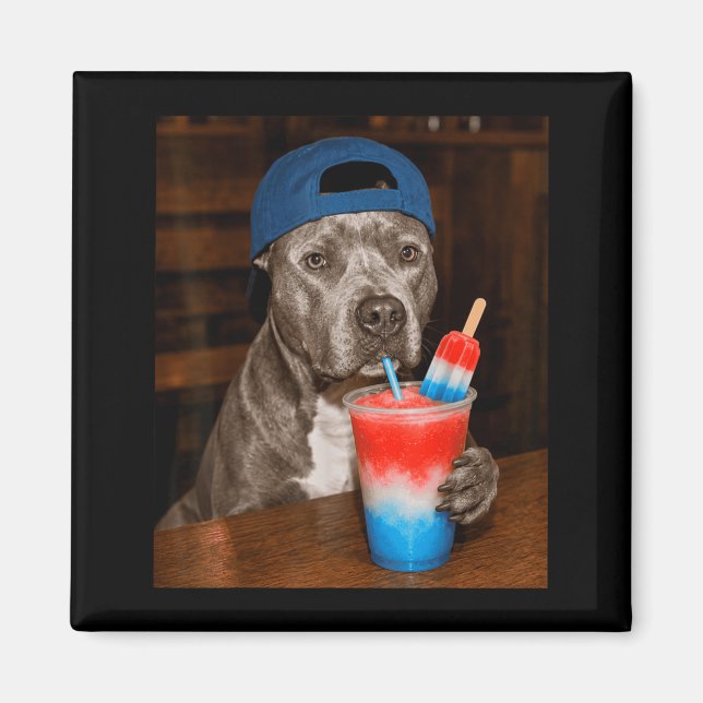 Imã Pitbull Bebendo Slusie Patriótico Meme de Cachorro (Frente)