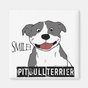 Imã Pitbull de sorriso (azul e branco)